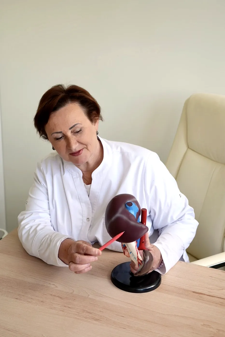 Надія Наумович пояснює на анатомічній моделі печінки